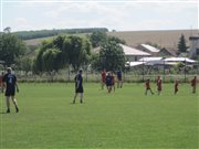 img 9557