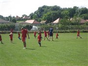 img 9558