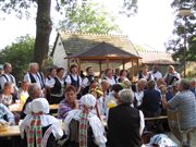 img 3078