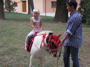 img 3096