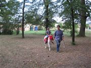 img 3108