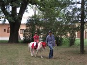 img 3110
