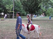 img 3115