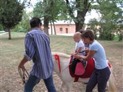 img 3118