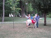 img 3119