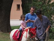 img 3124