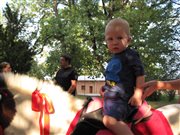 img 3131