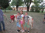 img 3133