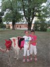 img 3137