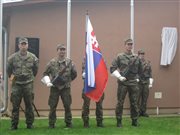 img 0591
