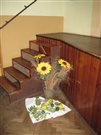img 3208