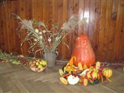 img 5181