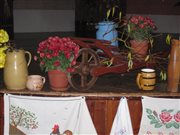 img 3333