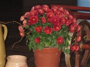 img 3340