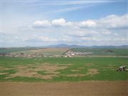 img 2919