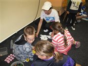 img 3179