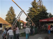 img 2487