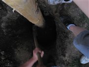 img 2492