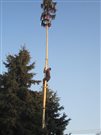 img 2502