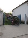 img 3539