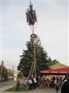 img 3546