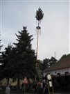 img 3547
