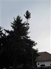 img 3550