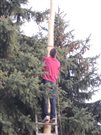 img 3559