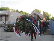 img 7103