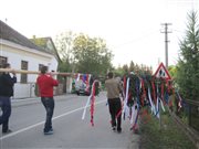 img 7104