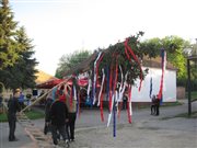 img 7110