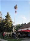 img 7114