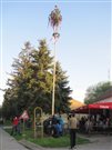 img 7116