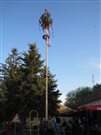 img 7117