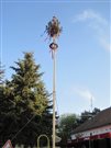 img 7118