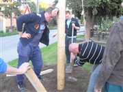 img 7133