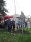 img 7138