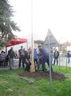 img 7140