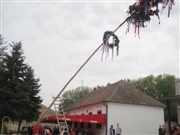 img 3233