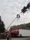 img 3235