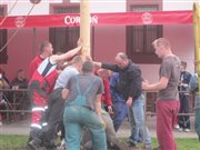 img 3252