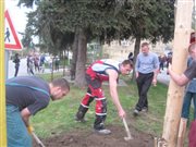 img 3264