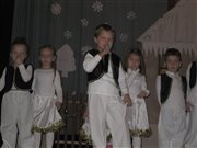 img 6311