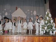 img 6355
