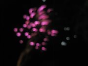 img 5609