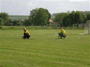 p7022774