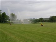 p7022793