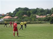 img 3981