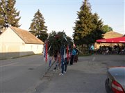 p5282687