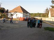 p5282691